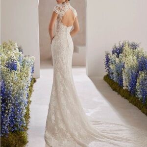 Rosa Clara Elegant White Lace Wedding Dress